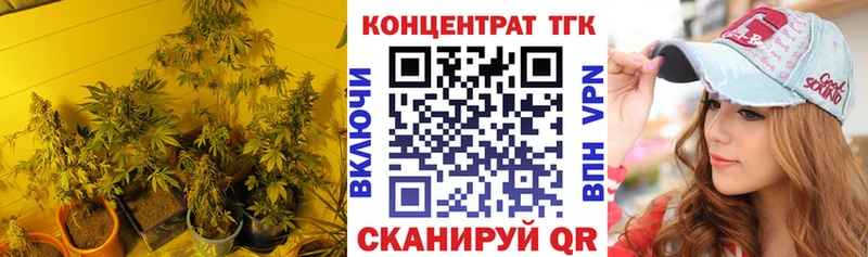 blacksprut как зайти где можно купить Задонск ТГК гашишное масло